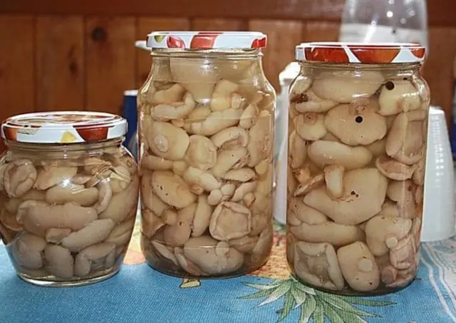 How to pickle boletus for the winter at home