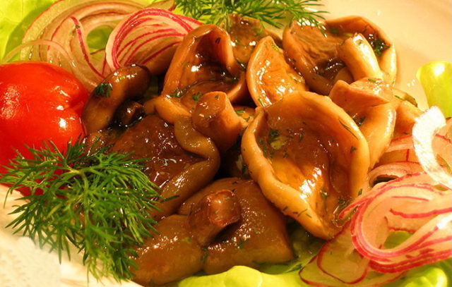 How to pickle boletus for the winter at home