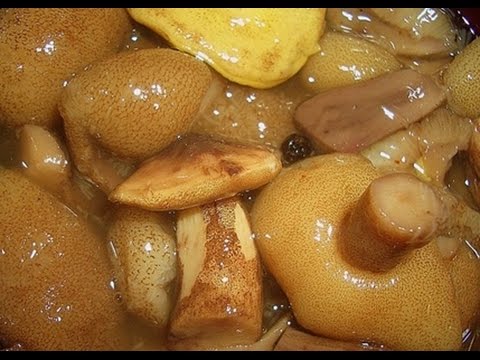 How to pickle boletus for the winter at home