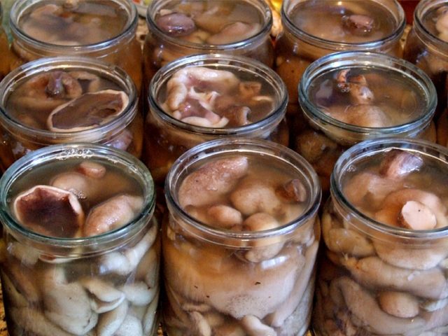 How to pickle boletus for the winter at home