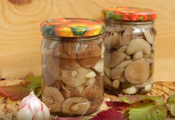 How to pickle boletus for the winter at home