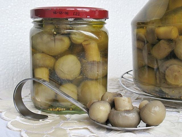 How to pickle champignons for the winter at home