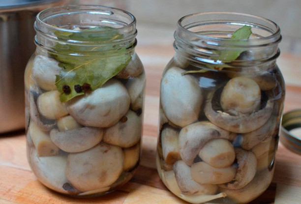 How to pickle champignons for the winter at home