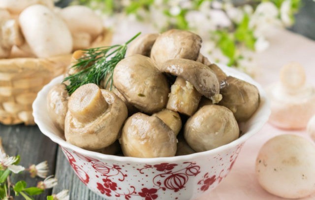 How to pickle champignons for the winter at home