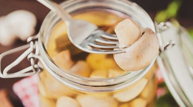 How to pickle champignons for the winter at home