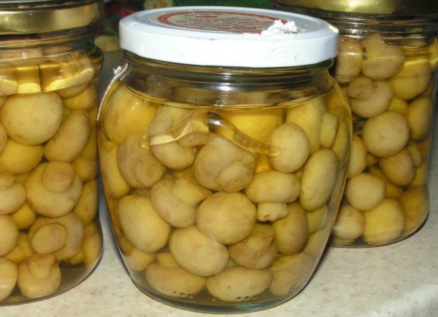 How to pickle champignons for the winter at home