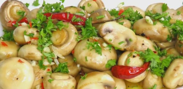 How to pickle champignons quickly and tasty at home: recipes with photos for the winter and for every day