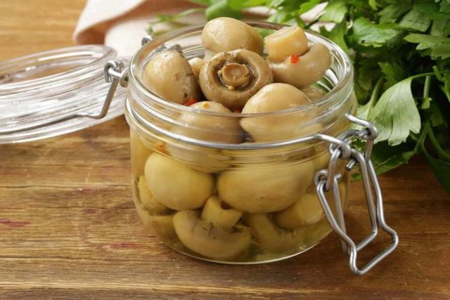 How to pickle champignons quickly and tasty at home: recipes with photos for the winter and for every day