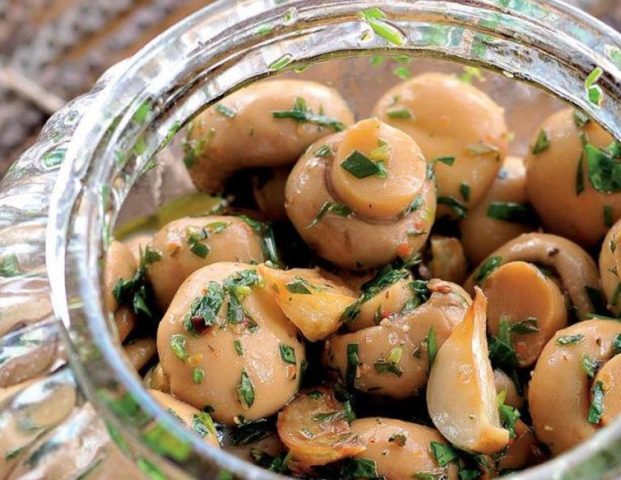 How to pickle champignons quickly and tasty at home: recipes with photos for the winter and for every day