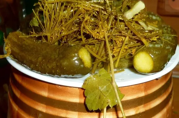 How to pickle cucumbers in a barrel or oak tub for the winter: grandmothers recipes, video