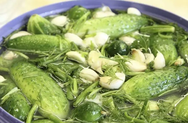 How to pickle cucumbers in a barrel or oak tub for the winter: grandmothers recipes, video