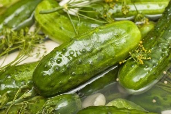 How to pickle cucumbers in a barrel or oak tub for the winter: grandmothers recipes, video