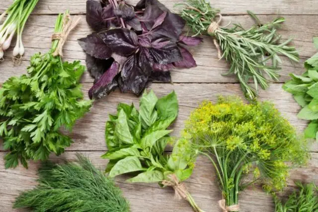 How to pickle cucumbers in a barrel or oak tub for the winter: grandmothers recipes, video