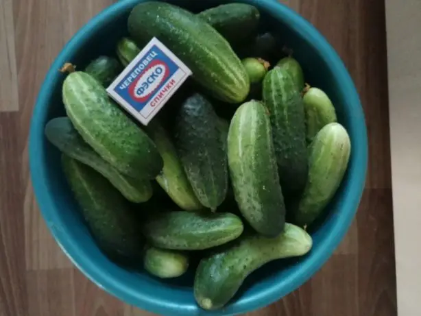 How to pickle cucumbers in a barrel or oak tub for the winter: grandmothers recipes, video