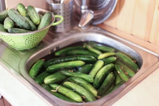 How to pickle cucumbers in a barrel or oak tub for the winter: grandmothers recipes, video