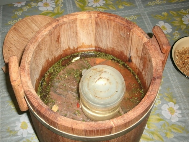 How to pickle cucumbers in a barrel or oak tub for the winter: grandmothers recipes, video