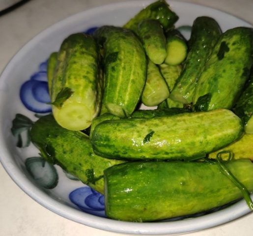 How to pickle cucumbers in a barrel or oak tub for the winter: grandmothers recipes, video