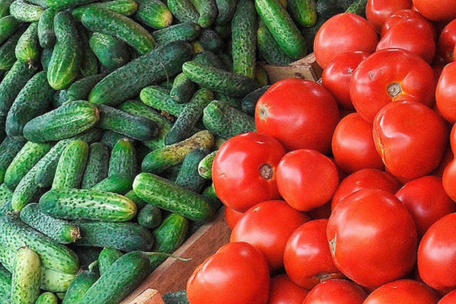 How to pickle cucumbers in a barrel or oak tub for the winter: grandmothers recipes, video