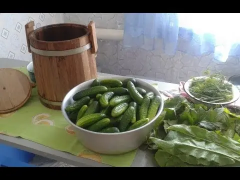 How to pickle cucumbers in a barrel or oak tub for the winter: grandmothers recipes, video