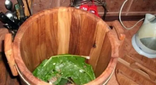 How to pickle cucumbers in a barrel or oak tub for the winter: grandmothers recipes, video