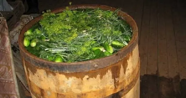 How to pickle cucumbers in a barrel or oak tub for the winter: grandmothers recipes, video