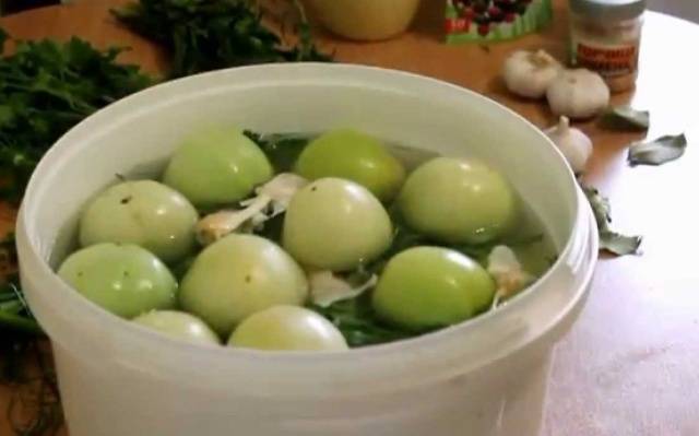 How to pickle green tomatoes in a bucket