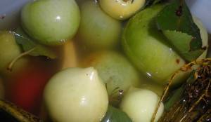 How to pickle green tomatoes in a bucket