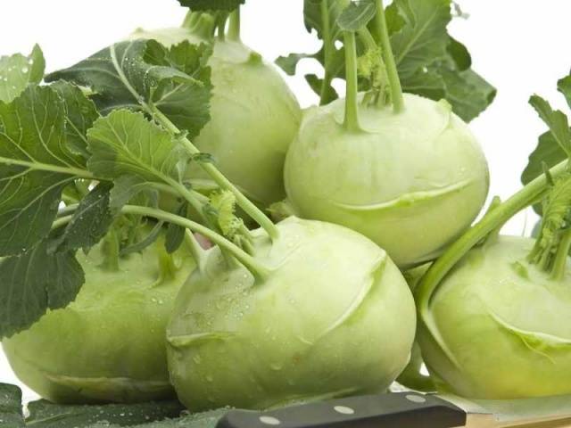 How to pickle kohlrabi cabbage