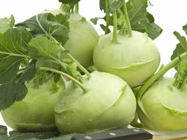 How to pickle kohlrabi cabbage
