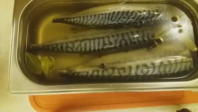 How to pickle mackerel for cold smoking with wet and dry salting