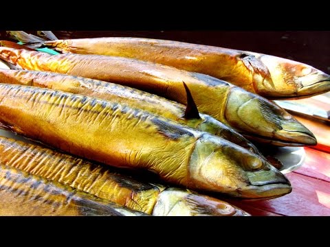 How to pickle mackerel for cold smoking with wet and dry salting