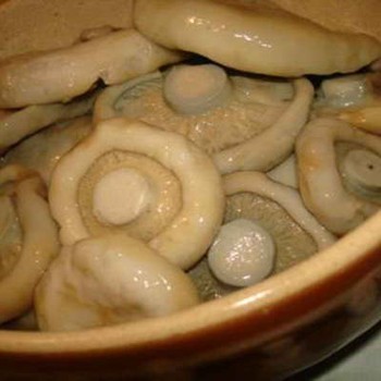 How to pickle milk mushrooms: a recipe with photos of pickled mushrooms and video