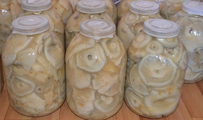 How to pickle milk mushrooms: a recipe with photos of pickled mushrooms and video