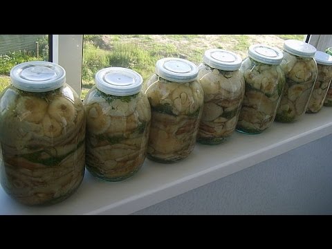 How to pickle milk mushrooms: a recipe with photos of pickled mushrooms and video