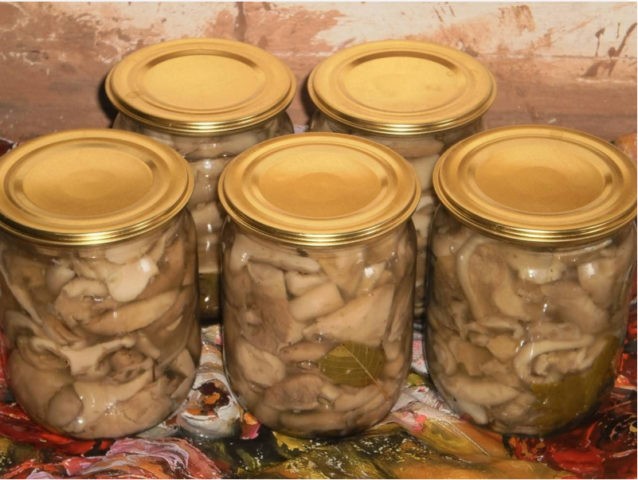 How to pickle milk mushrooms for the winter at home: delicious, quick and easy recipes