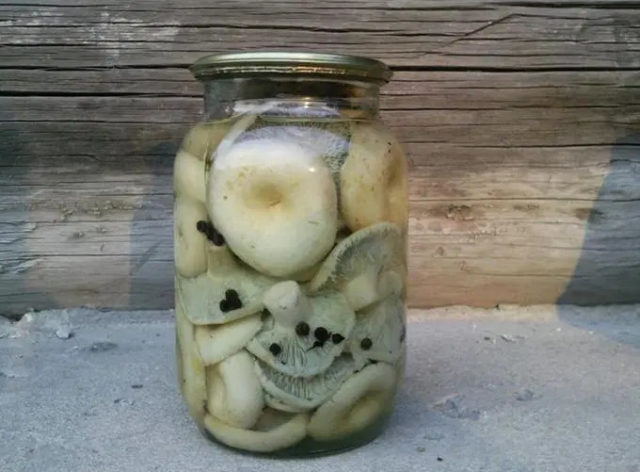 How to pickle milk mushrooms for the winter at home: delicious, quick and easy recipes