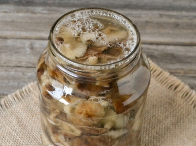 How to pickle milk mushrooms for the winter at home: delicious, quick and easy recipes