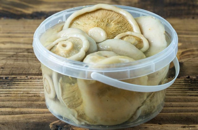 How to pickle milk mushrooms for the winter at home: delicious, quick and easy recipes