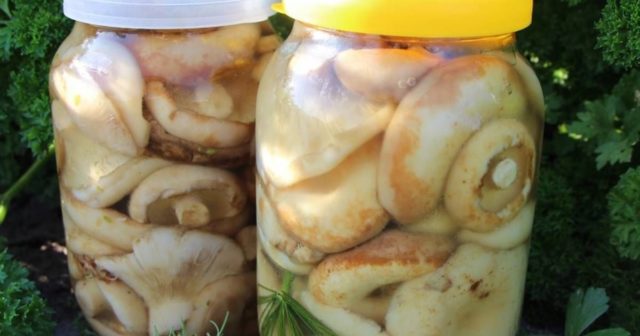 How to pickle milk mushrooms in a hot way: delicious pickling and canning recipes