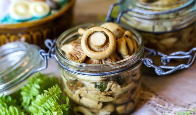 How to pickle milk mushrooms in a hot way: delicious pickling and canning recipes