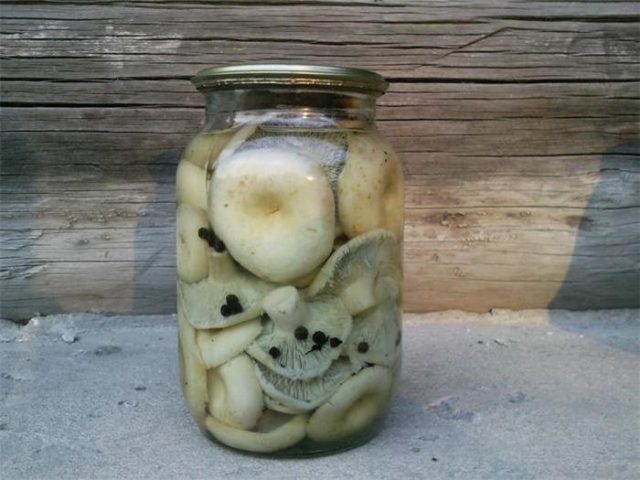 How to pickle milk mushrooms: pickled, crispy, the best cooking recipes with photos