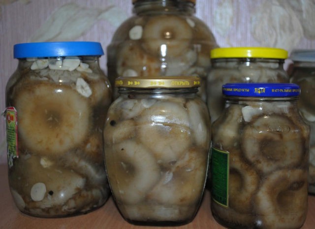 How to pickle milk mushrooms: pickled, crispy, the best cooking recipes with photos