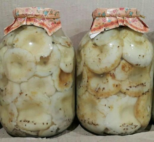 How to pickle milk mushrooms: pickled, crispy, the best cooking recipes with photos