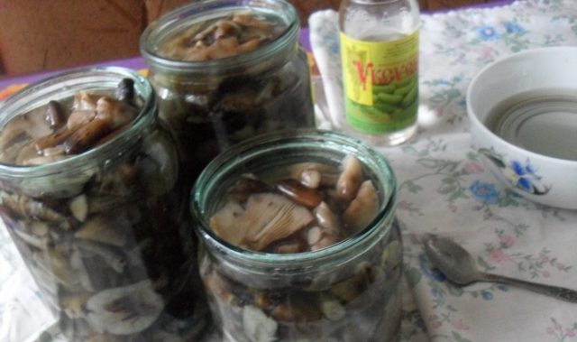 How to pickle mushrooms