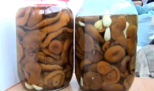 How to pickle mushrooms