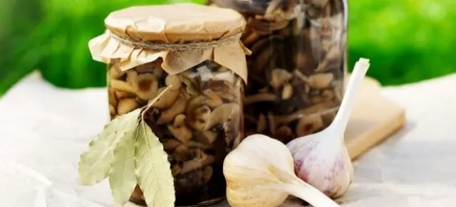 How to pickle mushrooms