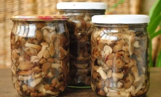 How to pickle mushrooms