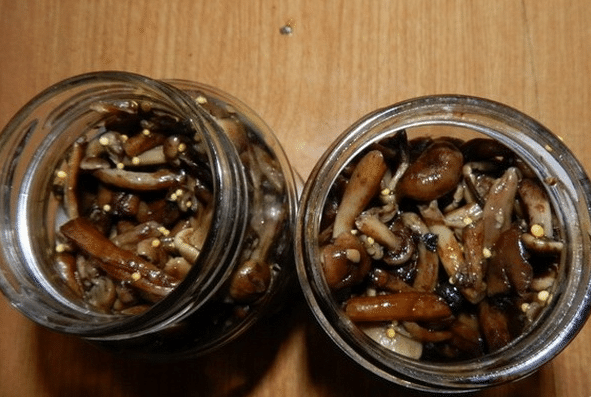 How to pickle mushrooms