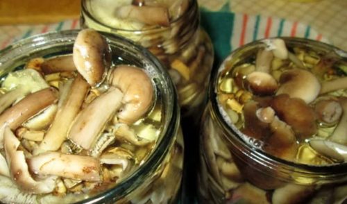 How to pickle mushrooms