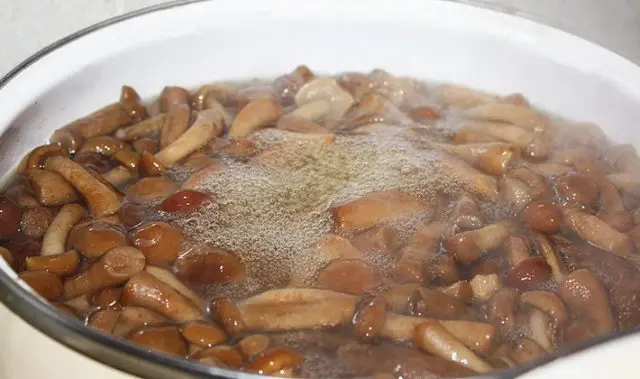 How to pickle mushrooms